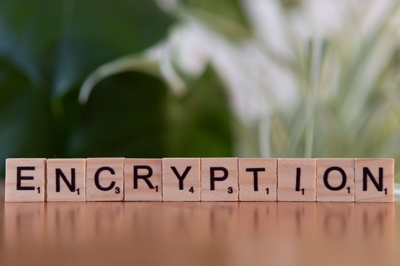 Close-up of wooden blocks spelling encryption, symbolizing data security and digital protection.